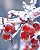 Ice Berries